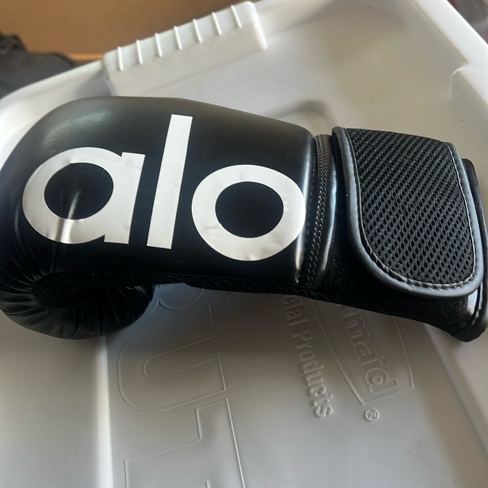 ALO Yoga Black VR Glove